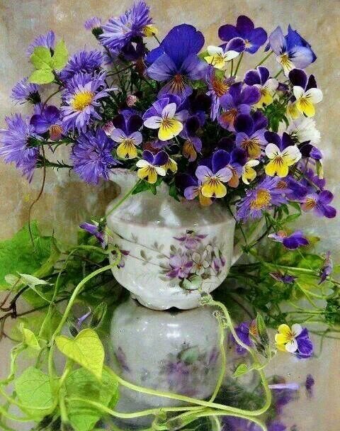 laviniano1's profile picture. 