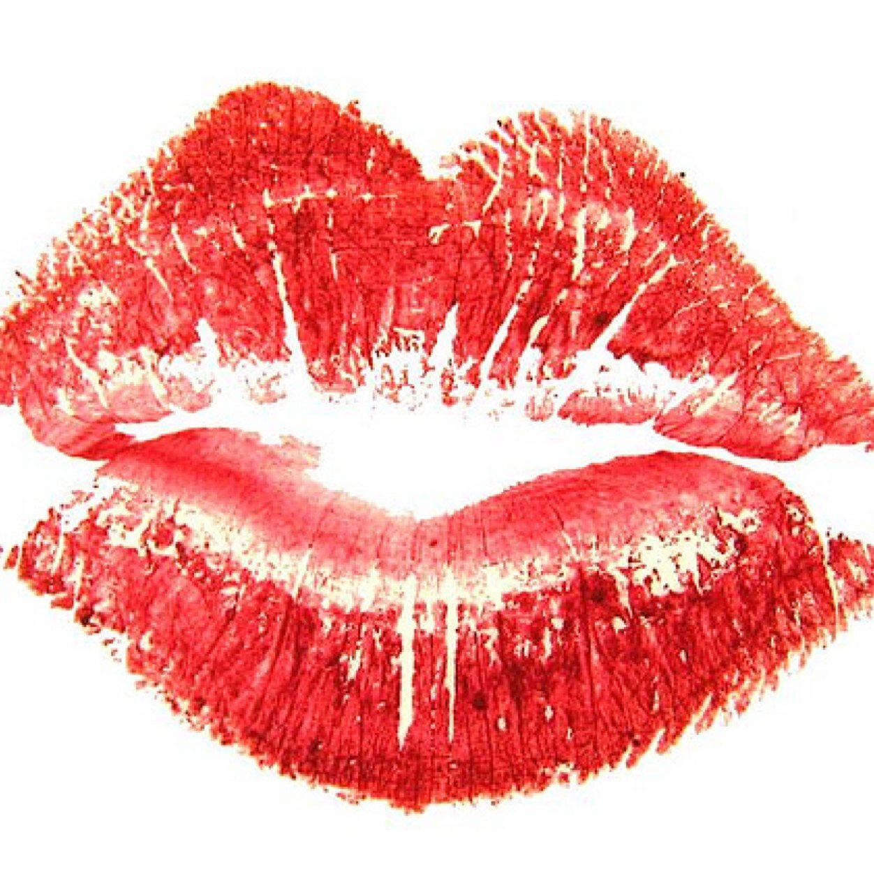 yumaholick's profile picture. 