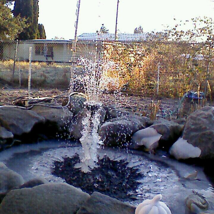 sandylip12's profile picture. 