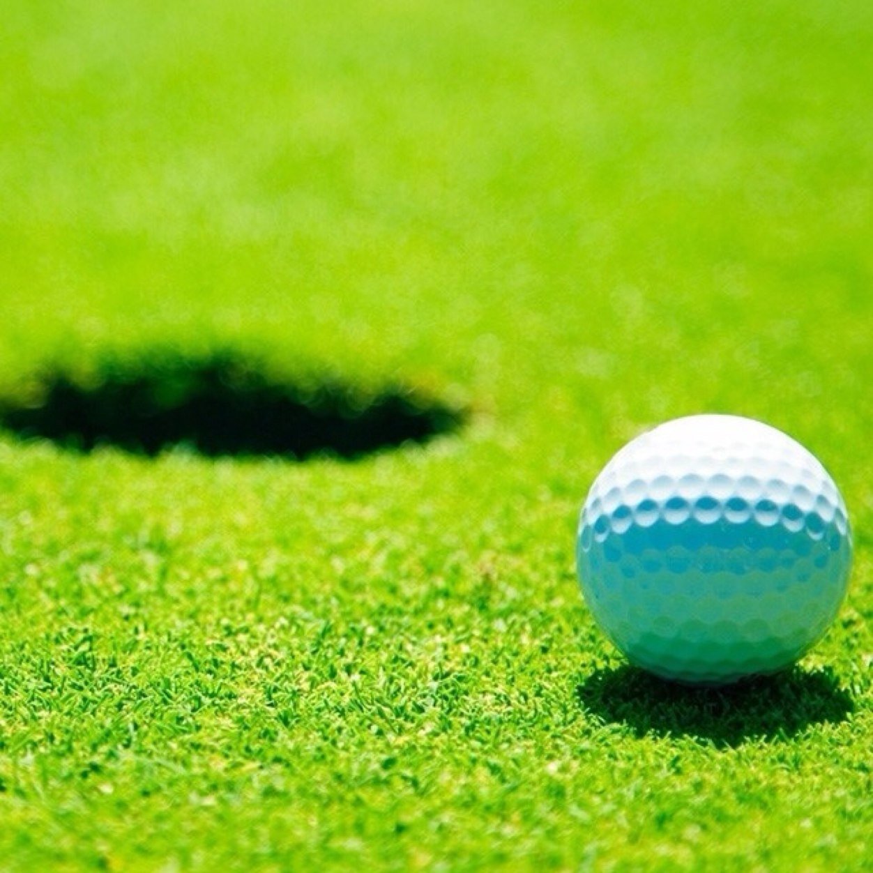 franciseaton132's profile picture. 