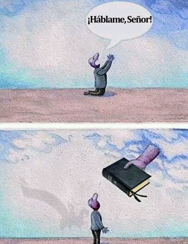 vanessavb11's profile picture. 