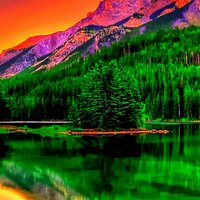 Bullying Stops Here (@peacehaven_us) 's Twitter Profile