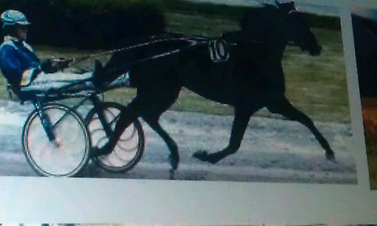 peterdm50's profile picture. 