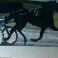 Peter de Meijere (@peterdm50) 's Twitter Profile