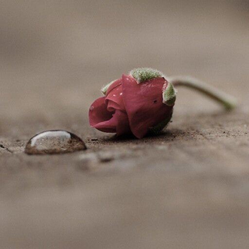 3bsBroomfield's profile picture. 3b's- Broomfield Baby Bereavement (Previously Chelmsford Sand's) offers support to local bereaved parents when a baby dies.