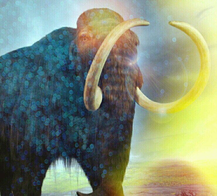 Un Sungari cayó en una avalancha... #Folgen #UniãoDoTwitterSegueEuSigoDeVolta (No monster were harmed while planishing pictures) #RT if u like any