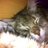 juliebg84's profile image
