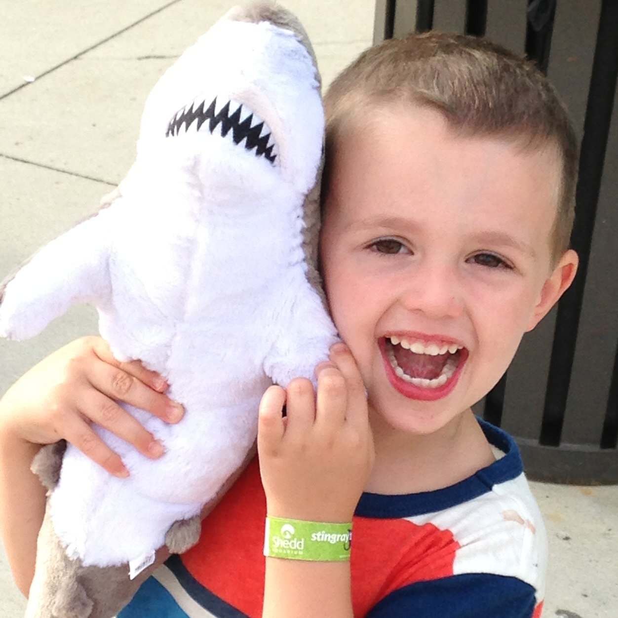 Megan Landwerlen, MD, MPH