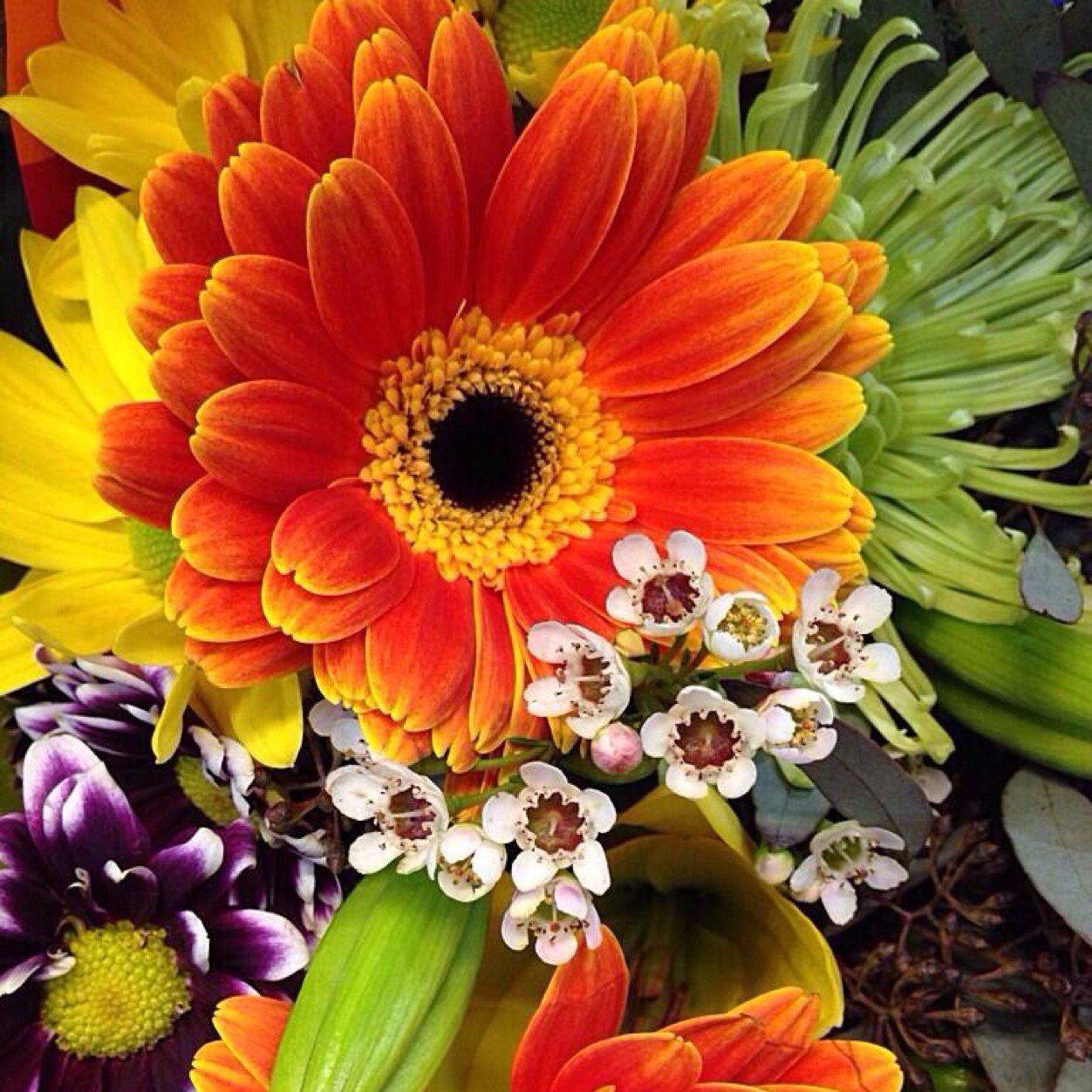 Every flower is gorgeous in its own way, exactly like you and I. Just because it's wilting doesn't mean it can't be beautiful.
