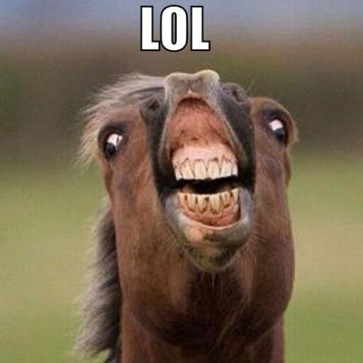 LearningLOL's profile picture. Here on this LOvLy twitter account I will teach the basics of LOL.