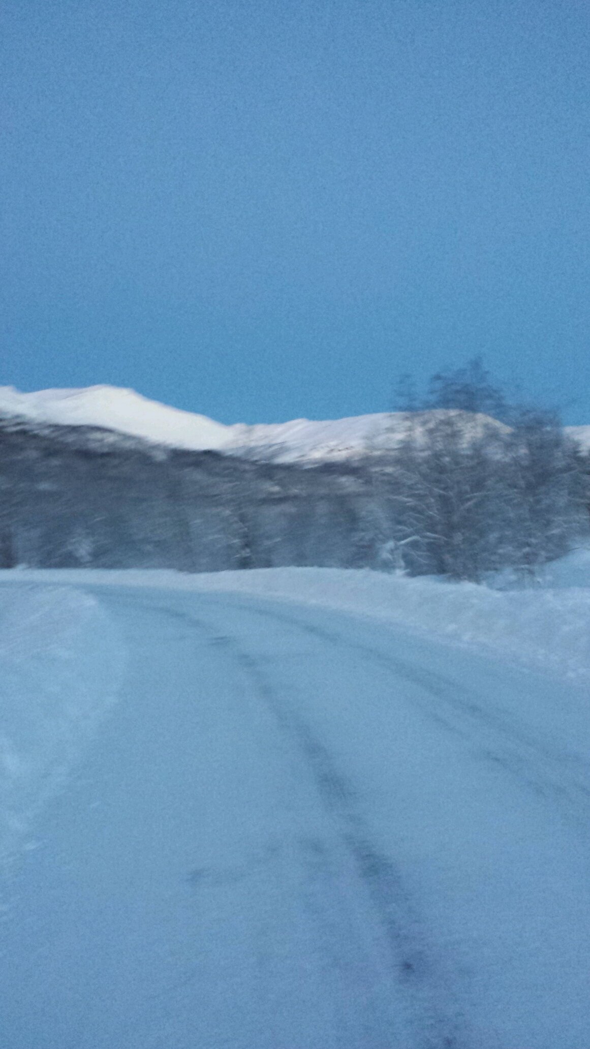 malhauge's profile picture. 