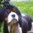 MontyisMissing's profile image