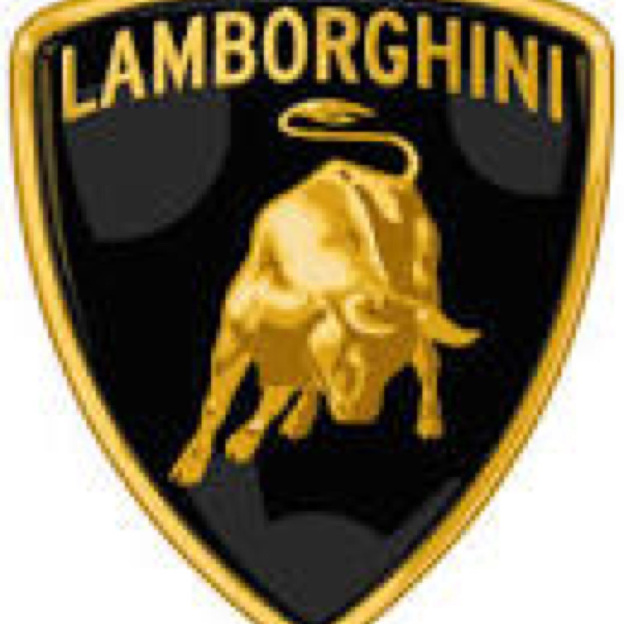 c_codester's profile picture. 