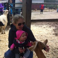 Sarah T (@teals12) 's Twitter Profile