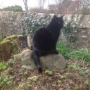 Joyce Pringle - @JoycePringle - Twitter