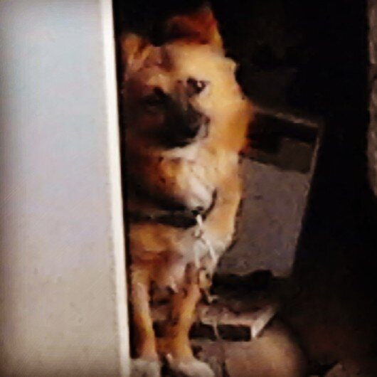 marpap85's profile picture. 