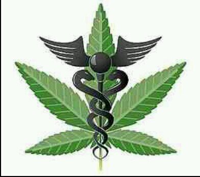 Advocate/Activist for kids, human-rights, animals & medical cannabis. I 💚 wking on & driving 85 5.0 mustang's! Agree 2 disagree. 💜