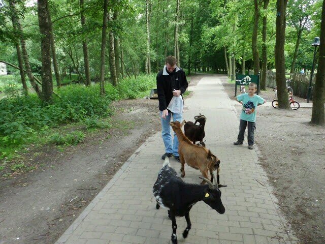 DuikerJohnny's profile picture. nieuw op twitter mtaar voeg je rustig toe :P