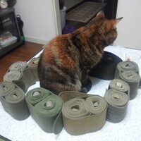 トントロ (@tontoro1974) 's Twitter Profile Photo