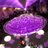asianweddinghr's profile image