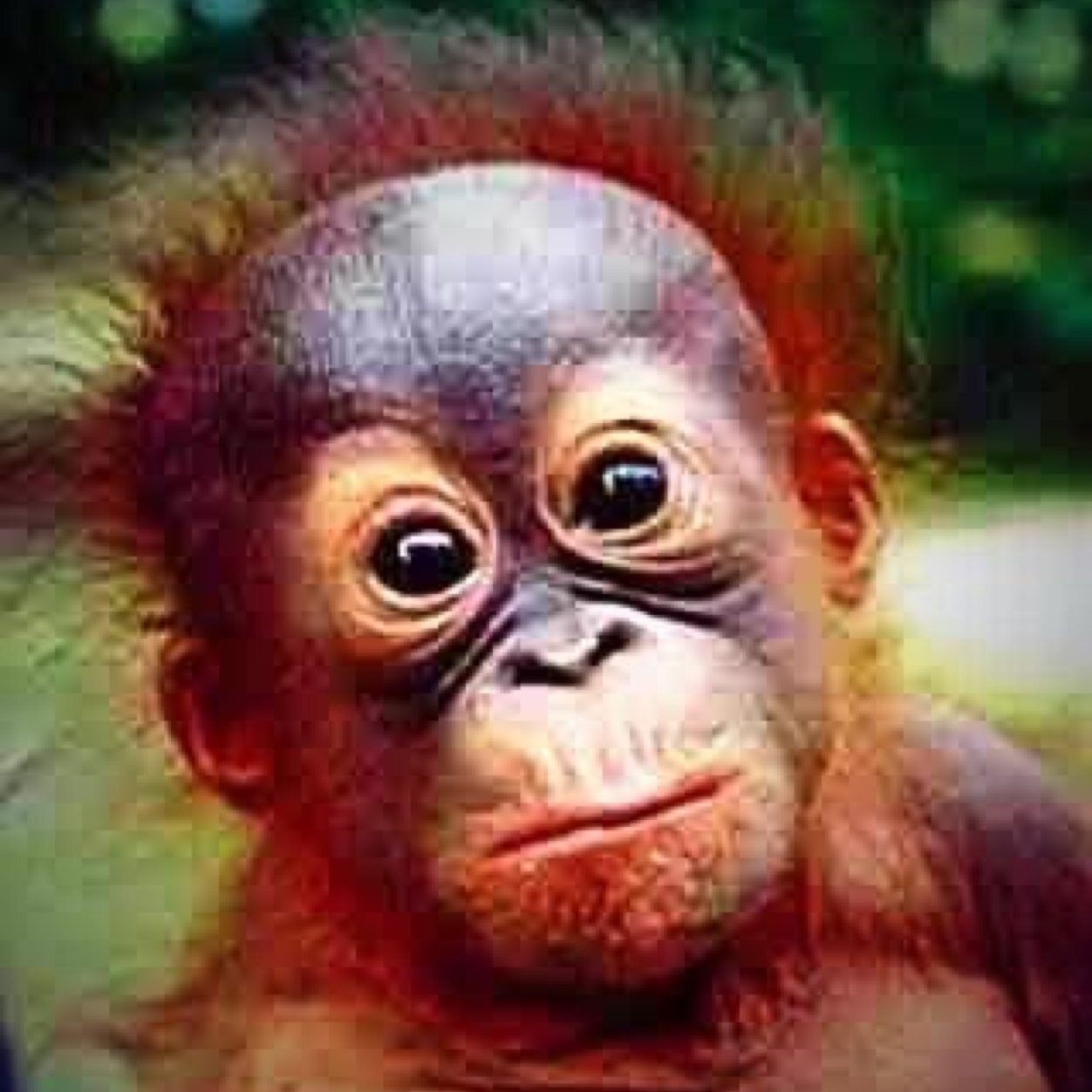 RocketDoc80's profile picture. 