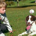 Sarah Westerman - @westerman_sarah - Twitter