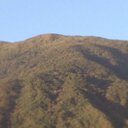 amelia carrillo - @ameliacarrillo - Twitter