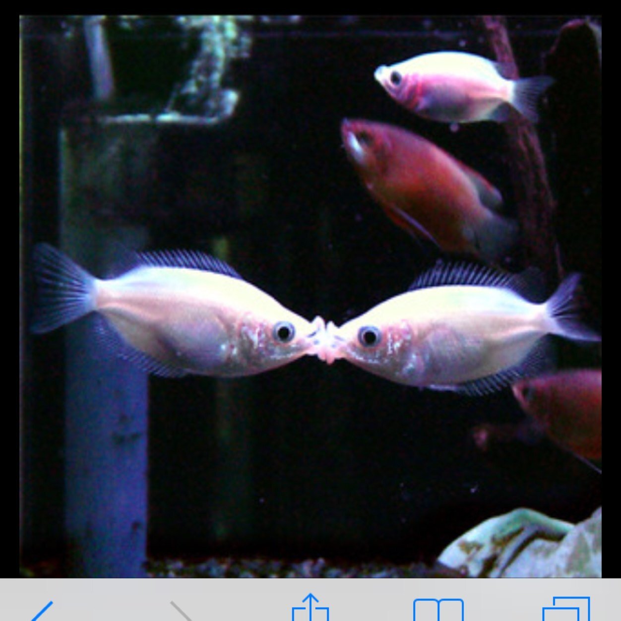 0906_kitty's profile picture. 