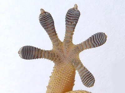 Petermm67's profile picture. 