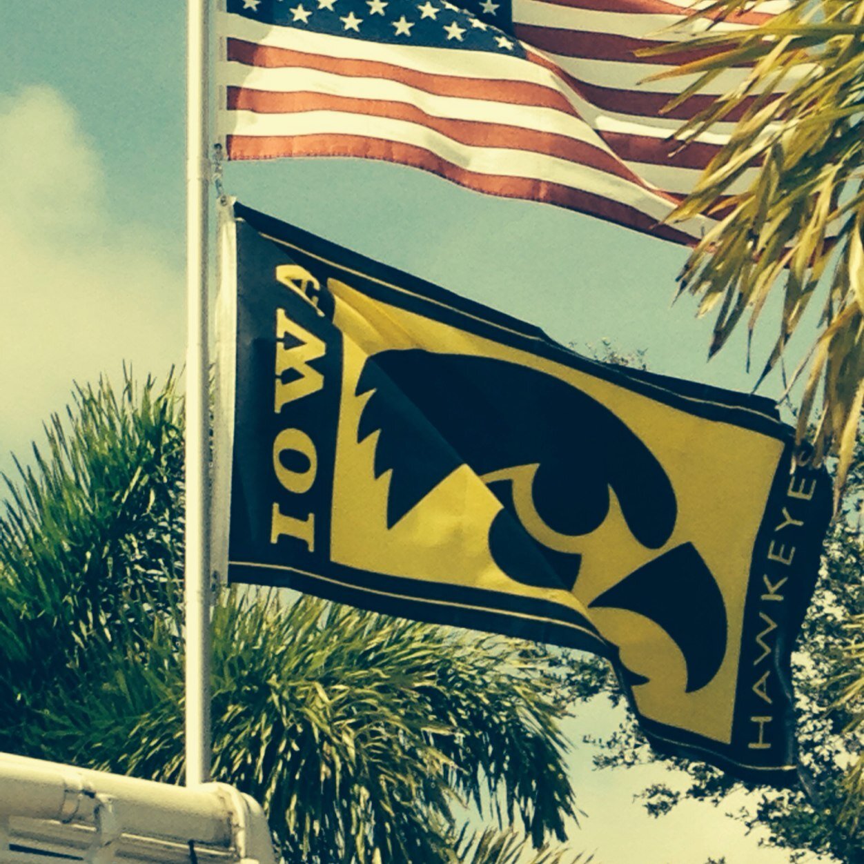 mdw1003's profile picture. 