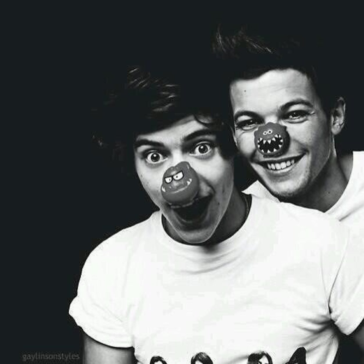 follow @radiicalniall   ifb