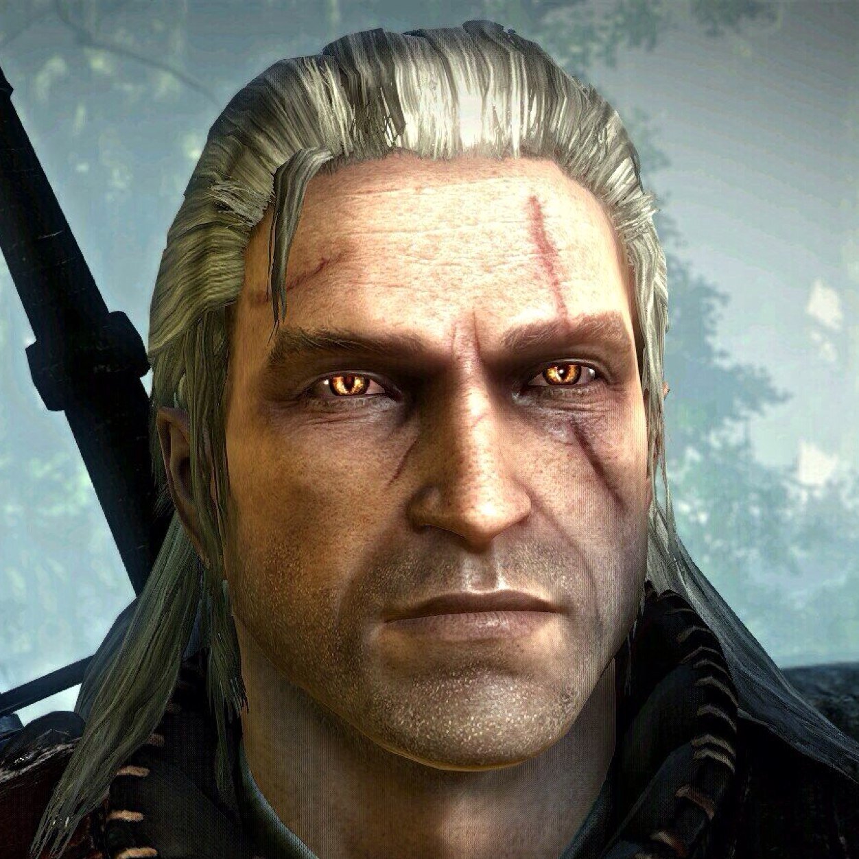 Son of the sorceress Visenna, shortly after birth I was taken to Kaer Morhen stronghold. Here I learned the ways of the Witcher.