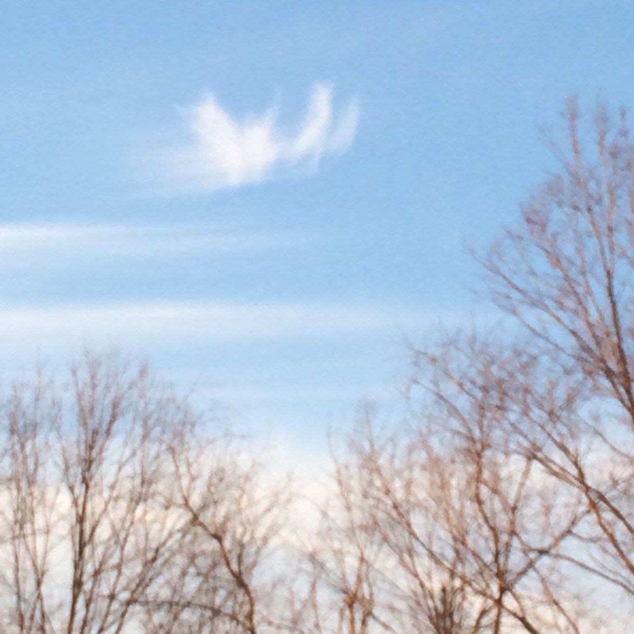 TipsTipsforguys's profile picture. 