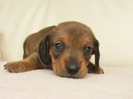 eattmseveswin's profile picture. 