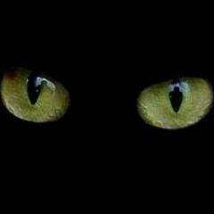 JCMeaveV's profile picture. 