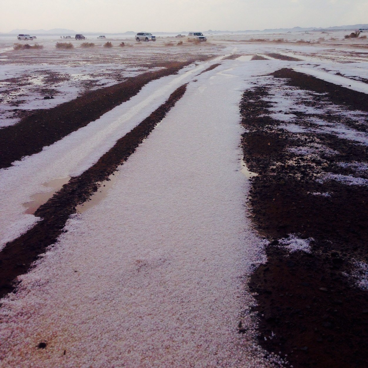 ComFrhann's profile picture. في الحياه يخلق الله اشخاص لا ترى جمال الدنيا الا بهم ♥