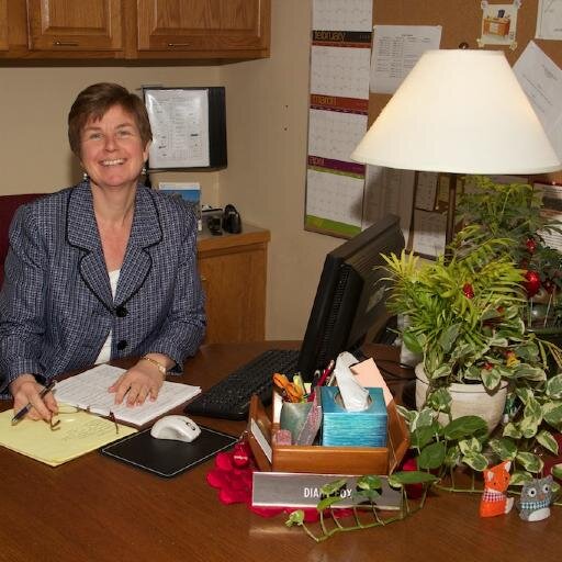 DianeFoxSLCS's profile picture. Thank you for your interest in our school community!