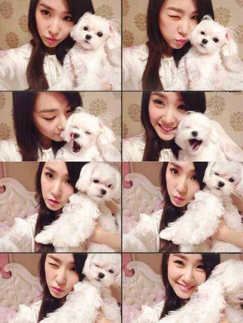 ทิ ฟ ฟ า นี่ !!! ระวังยิ้มของฉันไว้ให้ดีดี หึหึ  # ทีเอ็มแฟม