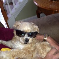 William Tisone (@ctown19) 's Twitter Profile