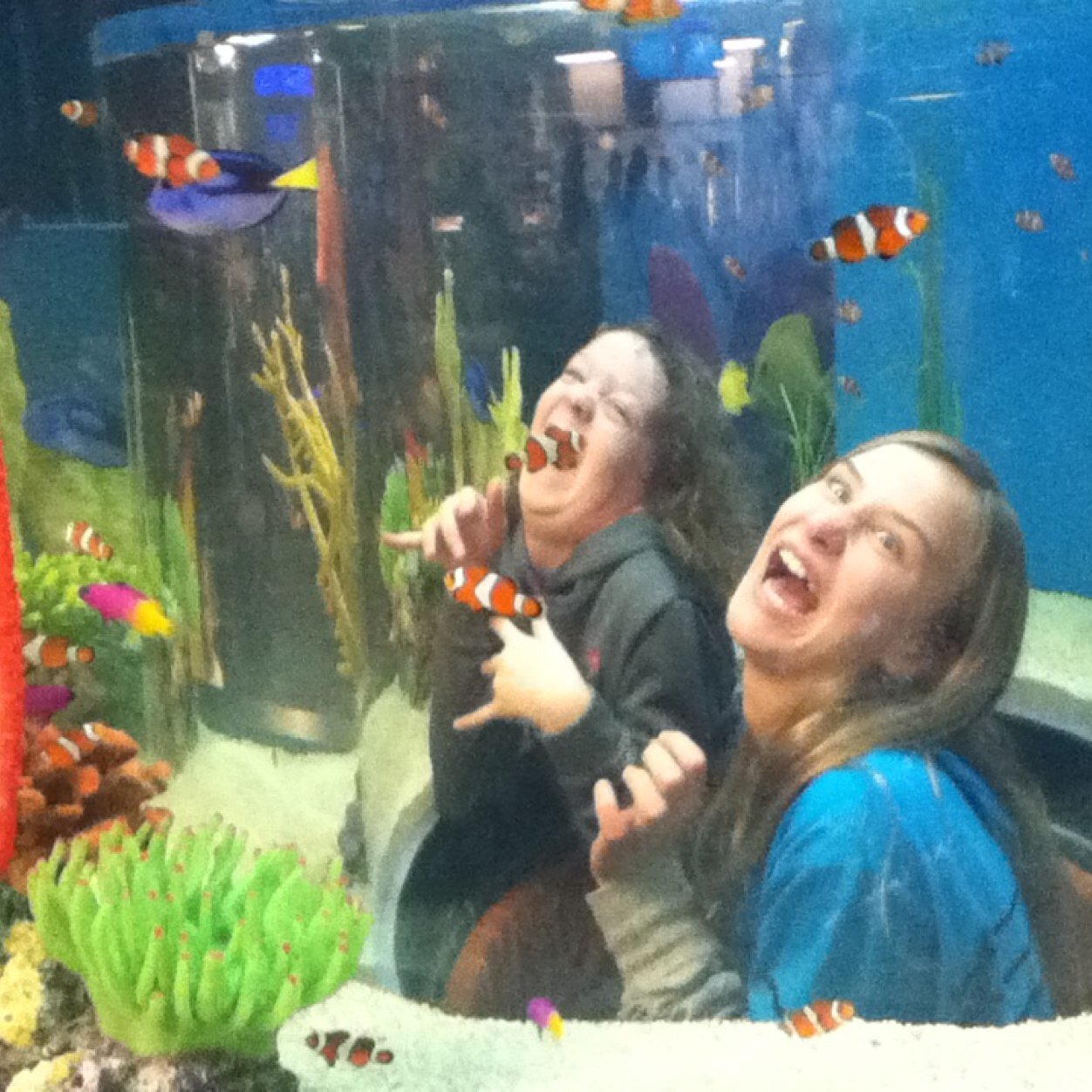 PbPayton's profile picture. ❤