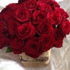 لوريت زاجل المحبه 
Kik: laurette_11 
Instagram: laurette_11