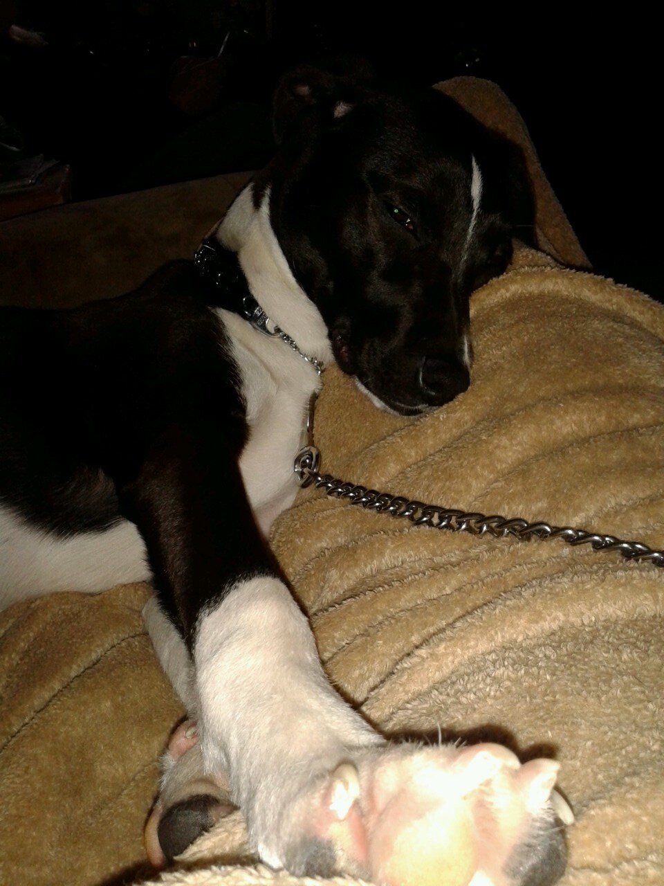 14Addams's profile picture. go technology!