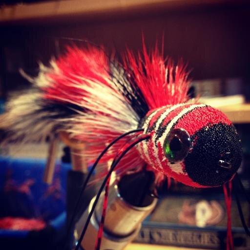 mainstreamflyco's profile picture. Providing fly fishers with quality flies