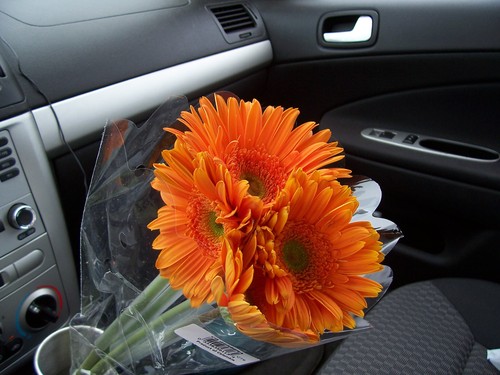 _chrissyb_'s profile picture. Gardener, Baker, Photographer, Lover of Music and Blue Bell Ice Cream.