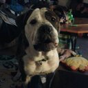 Aaron James Duguay - @aduguay14 - Twitter