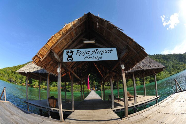 The_RADL's profile picture. The official twitter of Raja Ampat Dive Lodge. Located at the heart of the Coral Triangle. Raja Ampat, Indonesia. By Local for Global.