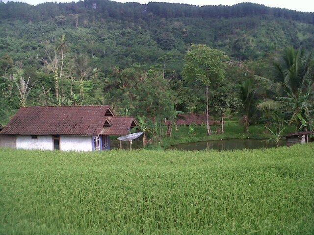 Official Akun Info Bungbulang||Grt Selatan(kidul)||Bungbulang Midang