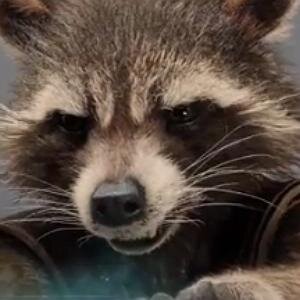 Literate Rocket, armed with guns to blow you away. I do try not to bite people.
Expert Marksman | Master Tactician | Member of the Guardians of the Galaxy