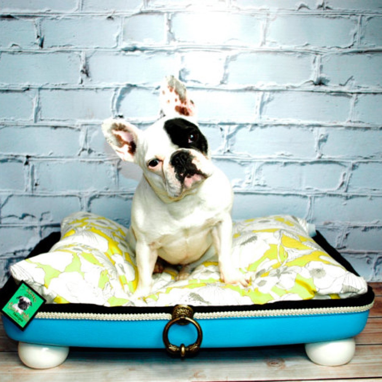 Patented one of a kind pet bed made from vintage repurposed hardshell suitcase.