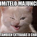 MANDIRABELTRAN (@061Man) Twitter